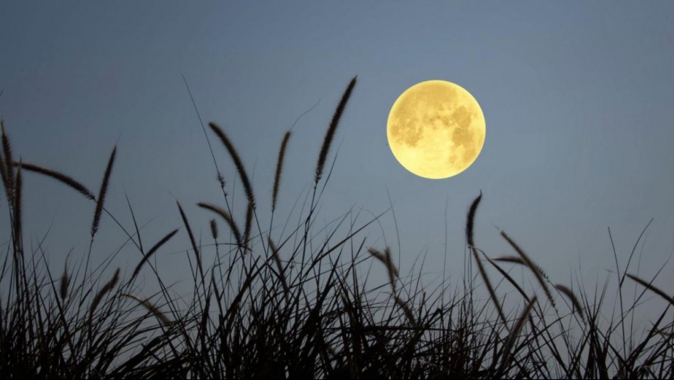 Horóscopo lunar: Jueves 26 de diciembre de 2024