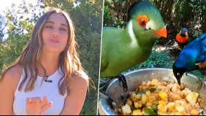 De Paseo: Tita Ureta alimentó aves exóticas en el aviario más grande de Sudamérica