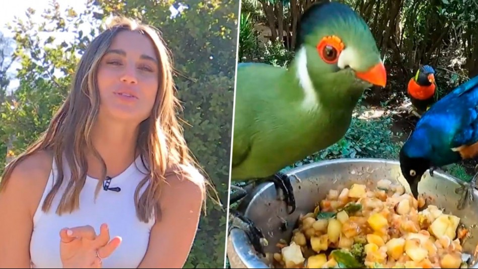 De Paseo: Tita Ureta alimentó aves exóticas en el aviario más grande de Sudamérica