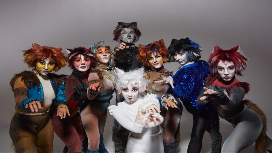 Anuncian últimas funciones de 'CATS', el musical: Se llevarán a cabo en Viña del Mar