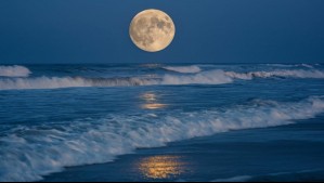 Horóscopo lunar: Domingo 12 de enero de 2025