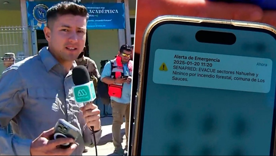 Senapred activa alerta SAE para evacuar sectores de Los Sauces por incendio forestal en medio de despacho