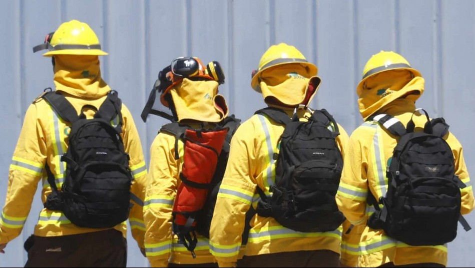 ¿Quiénes son los tres brigadistas fallecidos mientras combatían incendio forestal en Los Sauces?