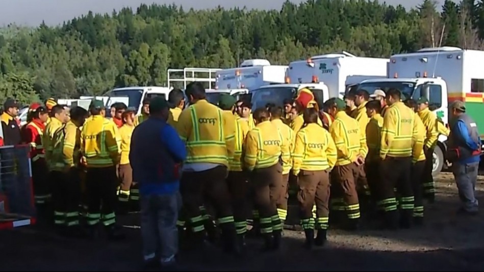 Tres brigadistas de CMPC mueren en combate de incendio forestal en Los Sauces: Más de 400 hectáreas consumidas