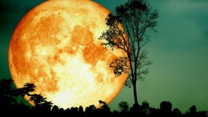Horóscopo lunar: Miércoles 22 de enero de 2025