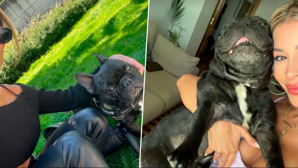 La inesperada comparación entre Oriana Marzoli y su mascota: 'Dicen que los perros se parecen a los dueños'