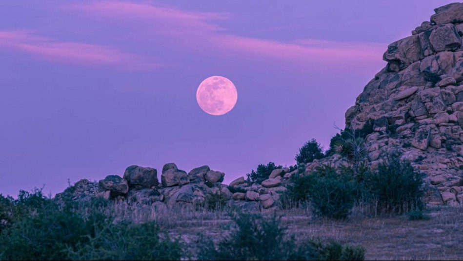 Horóscopo Lunar: Lunes 3 de febrero de 2025