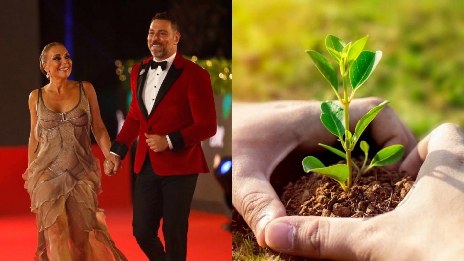 Los detalles de la primera Gala sustentable del Festival de Viña: Se plantarán árboles nativos