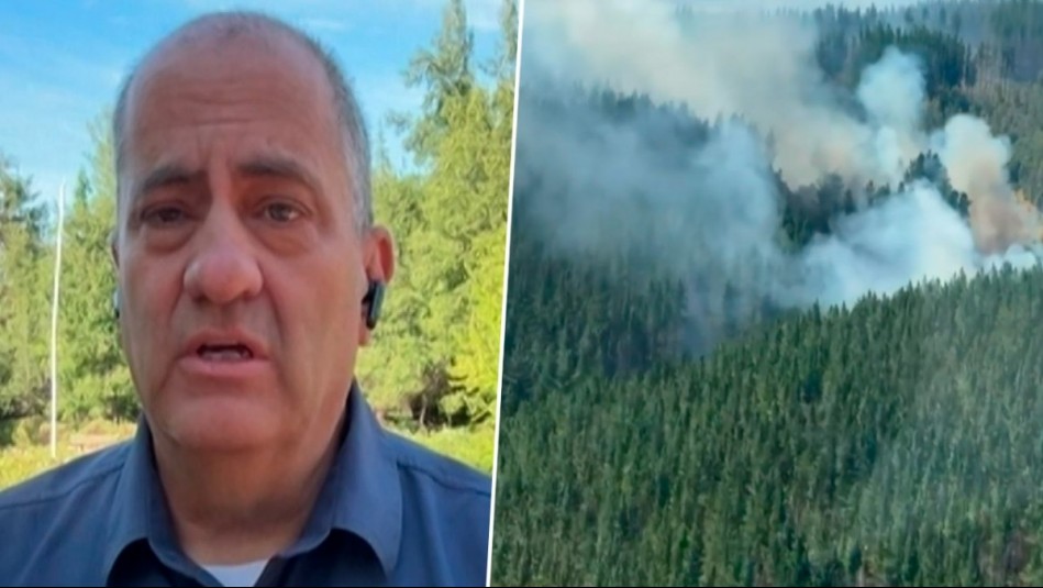 Experto recomienda extender toque de queda y alerta sobre intencionalidad de incendios: 'Supera el 70%'