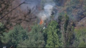 '¡Se abrió!': Equipo de Mucho Gusto capta momento en que se inicia un foco de incendio forestal en Collipulli