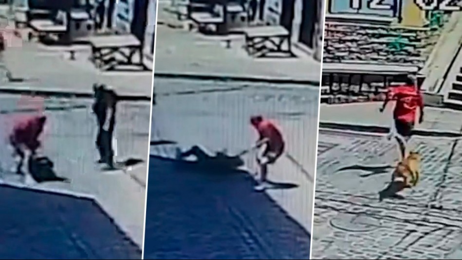 Video muestra violento asalto a turista japonés en Valparaíso: Perros salieron persiguiendo a delincuente