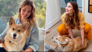 "Nunca supimos si una araña...": Belén Soto reveló la causa del fallecimiento de su perrito Ralph