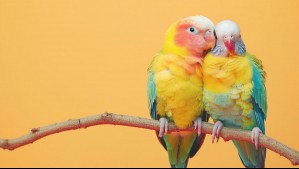 Libra, Escorpio y Sagitario: La semana del 24 de febrero marcará un antes y un después en tus relaciones