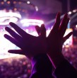 Conoce la hora en que comienza la segunda noche del Festival de Viña 2025, que tendrá las presentaciones de Myriam Hernández, Chiqui Aguayo y Ha*Ash.