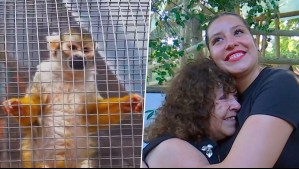 Más de 150 animales rescatados: De Paseo conoce la historia de Elba Muñoz y el Centro de Primates Peñaflor