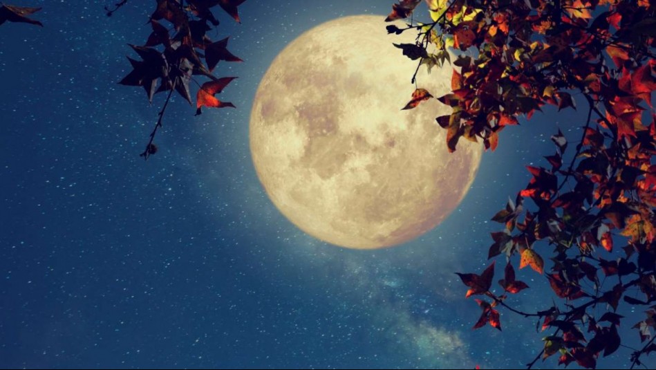 Horóscopo lunar: Martes 11 de marzo