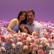 Este es el elenco de El Jardín de Olivia, la nueva teleserie de Mega.