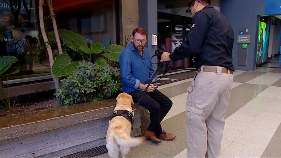 'Estoy limpio': Luis Ugalde fue inspeccionado por perritos PDI durante simulacro en Mucho Gusto