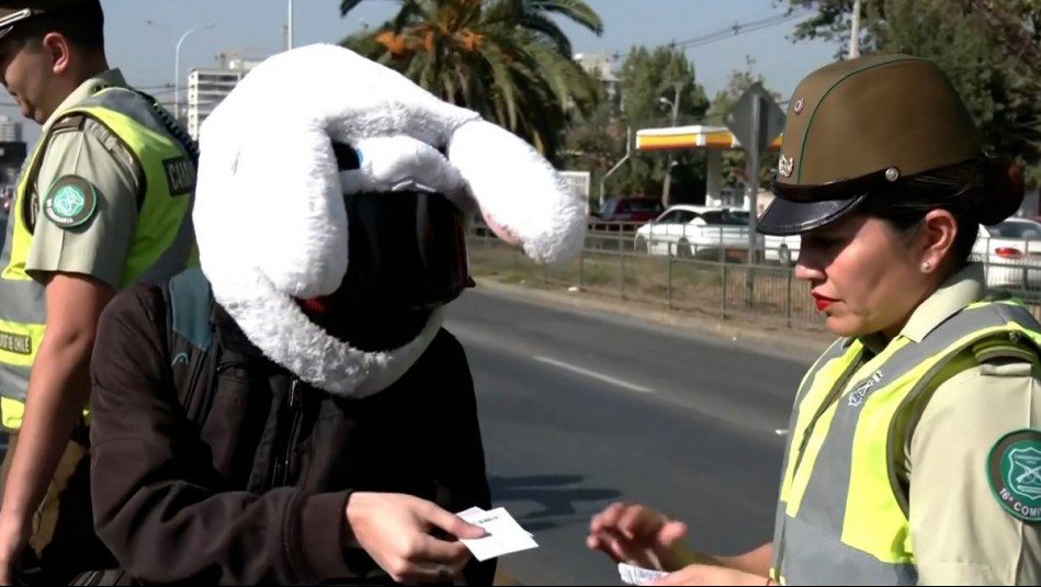 'Para qué ser tan fome': Motociclista sorprende en fiscalización con particular casco con orejas de conejo
