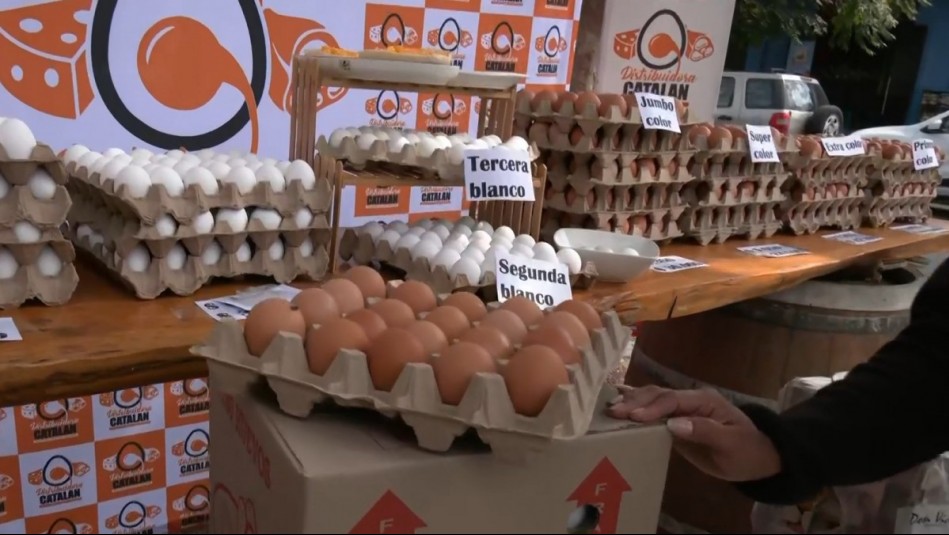 Precio del huevo al alza por dos años y bandeja ronda los $10 mil: Los factores que disparan sus costos