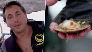 ¿Te gustan los ostiones? Tomás Vigneaux te enseña cómo es su cultivo en la Bahía de Tongoy