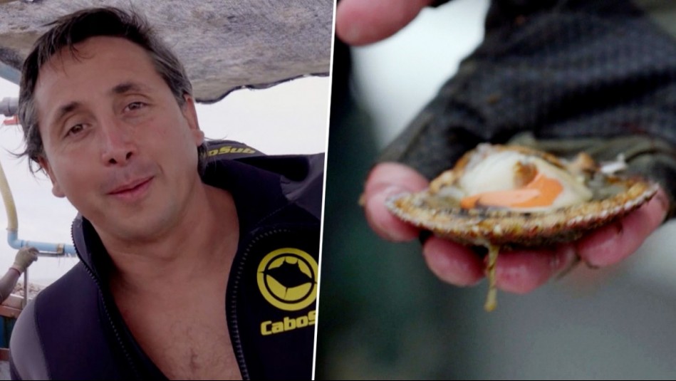 ¿Te gustan los ostiones? Tomás Vigneaux te enseña cómo es su cultivo en la Bahía de Tongoy