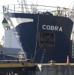 Conoce la insólita relación por la que el barco Cobra, que habría chocado a la lancha Bruma en Coronel, se encuentra con zarpe suspendido.