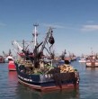Conoce los detalles de las hipótesis tras presunta colisión de lancha Bruma con barco pesquero en Coronel, el cual habría terminado con la desaparición de siete pescadores.