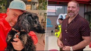 "Lo que es un animal inteligente": José Antonio Neme les envía chistoso mensaje a sus perros