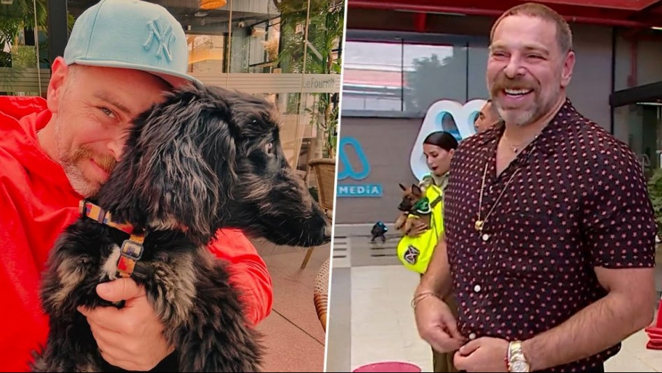 'Lo que es un animal inteligente': José Antonio Neme les envía chistoso mensaje a sus perros