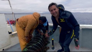 Agua Viva, El Futuro del Mar: La nueva serie documental que aterriza en Mega 2