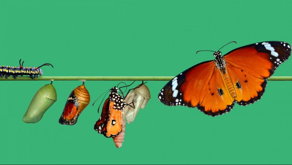 Venus deja de estar retrógrado y la vida de estos 4 signos cambia para mejor este 12 de abril