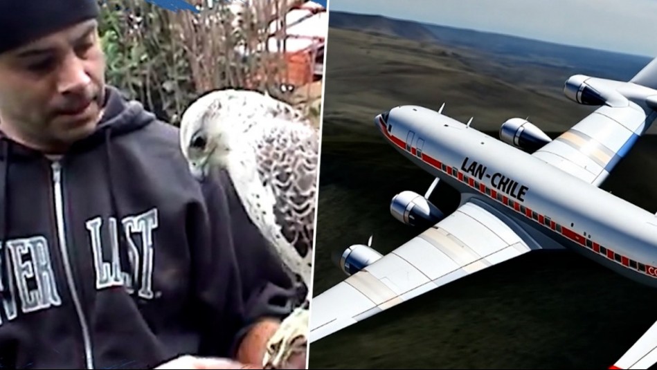 Viaje a lo Insólito - Capítulo 20: Los extraños animales albinos y la maldición del vuelo 107 de LAN