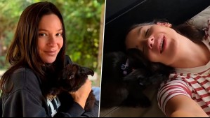 Kel Calderón rescató a conejito de una feria y su historia terminó con un final feliz: "Lo van a querer mucho"