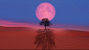 Horóscopo lunar: Lunes 28 de abril de 2025