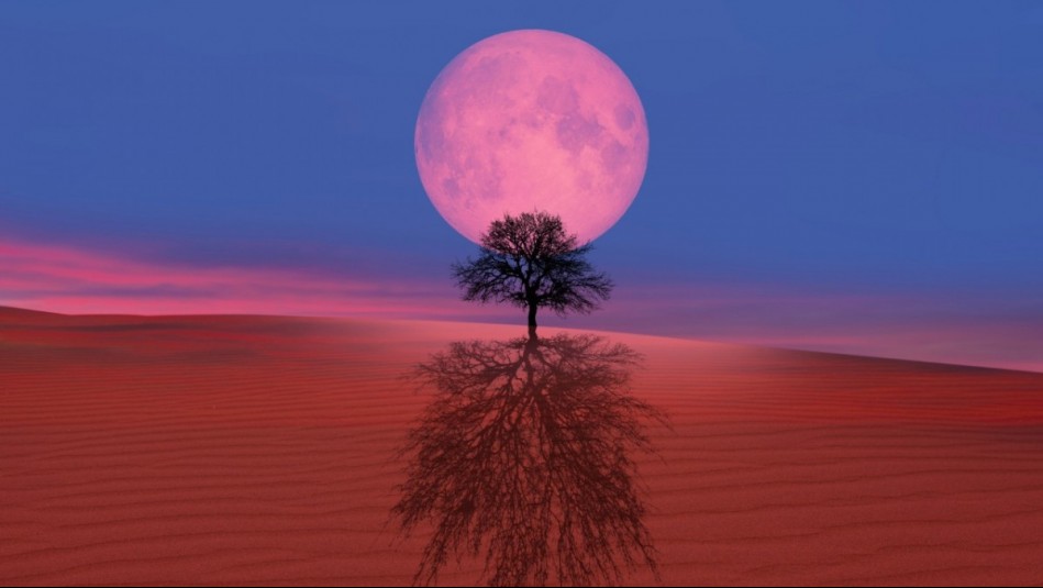 horoscopo-lunar:-lunes-28-de-abril-de-2025 Horóscopo lunar: Lunes 28 de abril de 2025