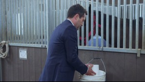 tomas Avance de Los Casablanca: Tomás intentará envenenar al caballo de Alexandra