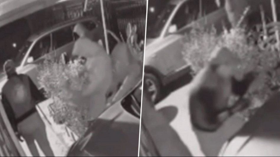 'Todos los días pasa algo': Vecinos de Maipú denuncian seguidilla de asaltos y turbazos en la comuna