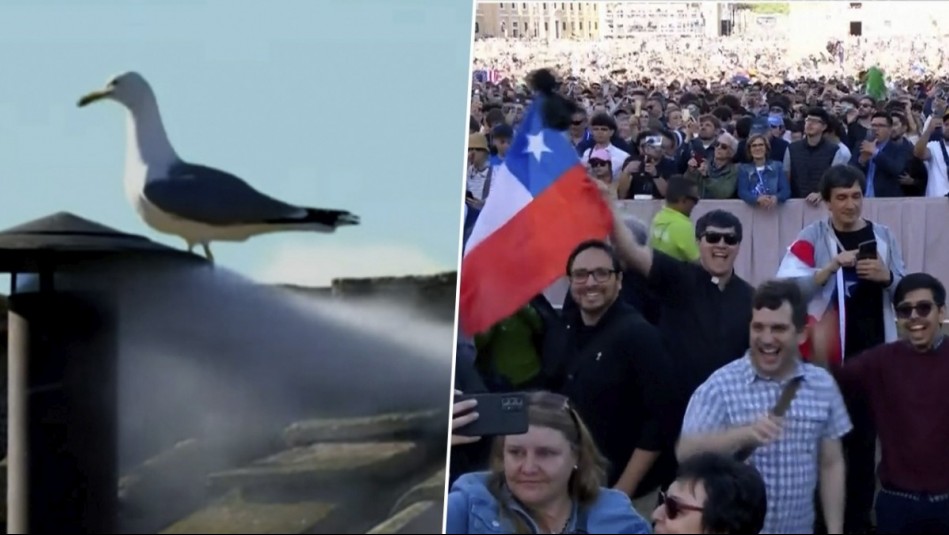 ¡Con banderas chilenas incluidas! Así fue el momento en que salió humo blanco anunciando al nuevo Papa