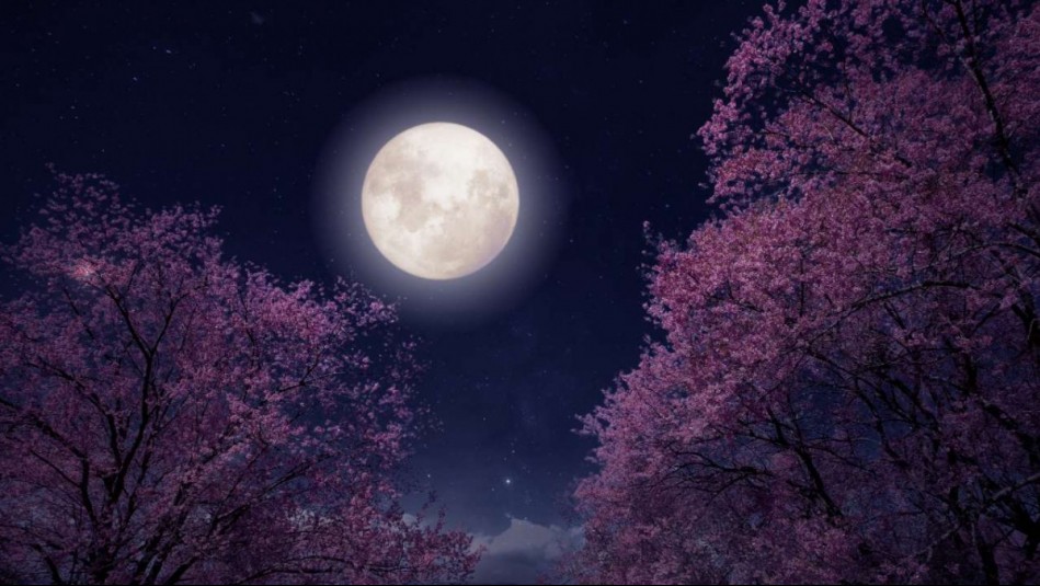 Horóscopo lunar: Domingo 11 de mayo de 2025