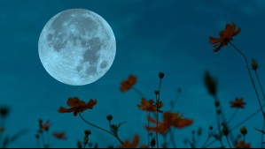 Horóscopo lunar: Sábado 10 de mayo de 2025