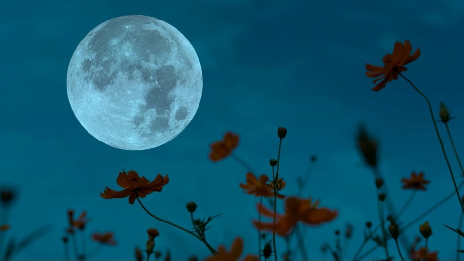 Horóscopo lunar: Sábado 10 de mayo de 2025