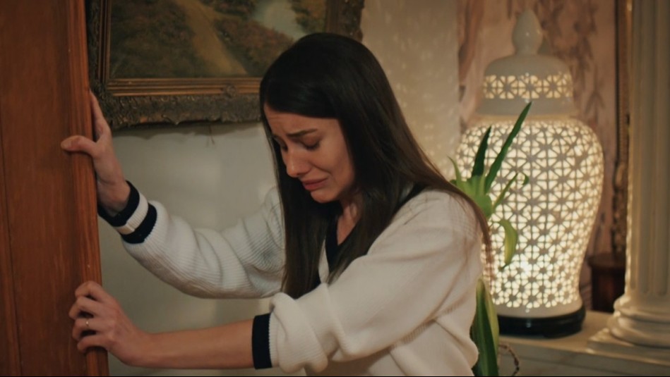 Seyrán y Ferit - Temporada 3 | Capítulo 30 (Parte 3): La profunda crisis de Suna y Abidin