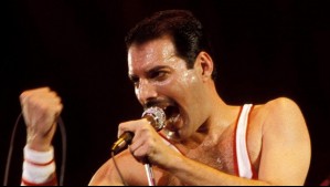 Aseguran que Freddie Mercury tuvo una hija hace casi 50 años: Habría nacido de una infidelidad