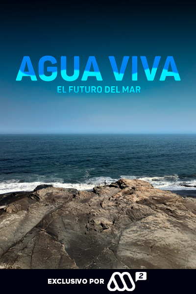 Agua Viva