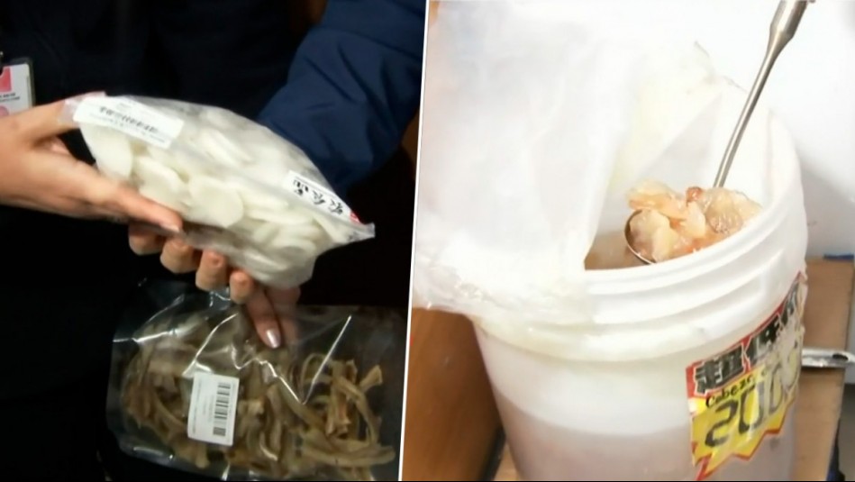 Carne de tortuga, rana y anguila: Clausuran supermercado chino que funcionaba pese a prohibición