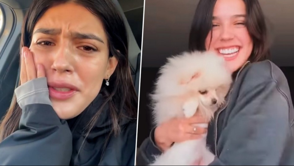 Tati Fernández sufre por compleja situación con su perrita recién adoptada: Fue internada de urgencia