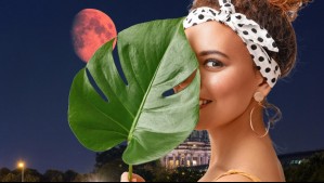 Horóscopo lunar del domingo 1 de junio: Pasión y claridad para tu signo