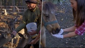 De Paseo - Capítulo 107: En la granja educativa 'Arca del Pequén'