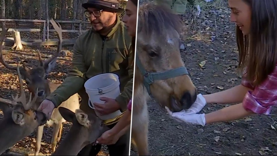 De Paseo - Capítulo 107: En la granja educativa 'Arca del Pequén'